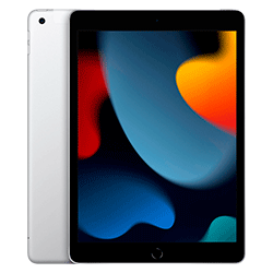 Apple iPad  9th Gen MK2P3LE/A Wifi 256GB / Tela 10.2" - Prata