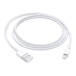 Cabo Apple USB MXLY2ZE/A 1 Metro - Branco (Original)