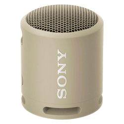Caixa de Som Sony Portátil SRS-XB13 Bluetooth - Taupe