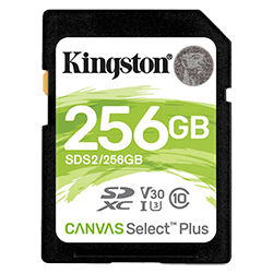 Cartão de Memória SD Kingston Canvas Select Plus 256GB Classe 10 100MBS - (SDS2/256GB)