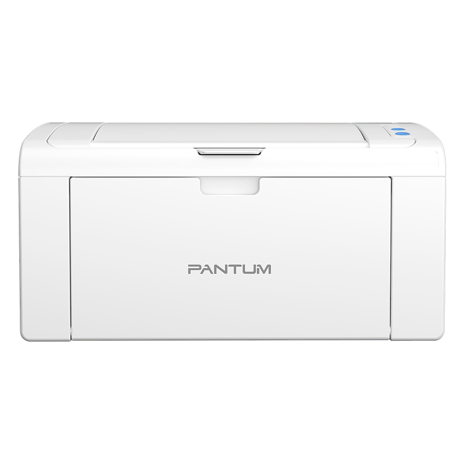 Impressora Monocromática Pantum P2509W 370W Wi-Fi 110V - Cinza
