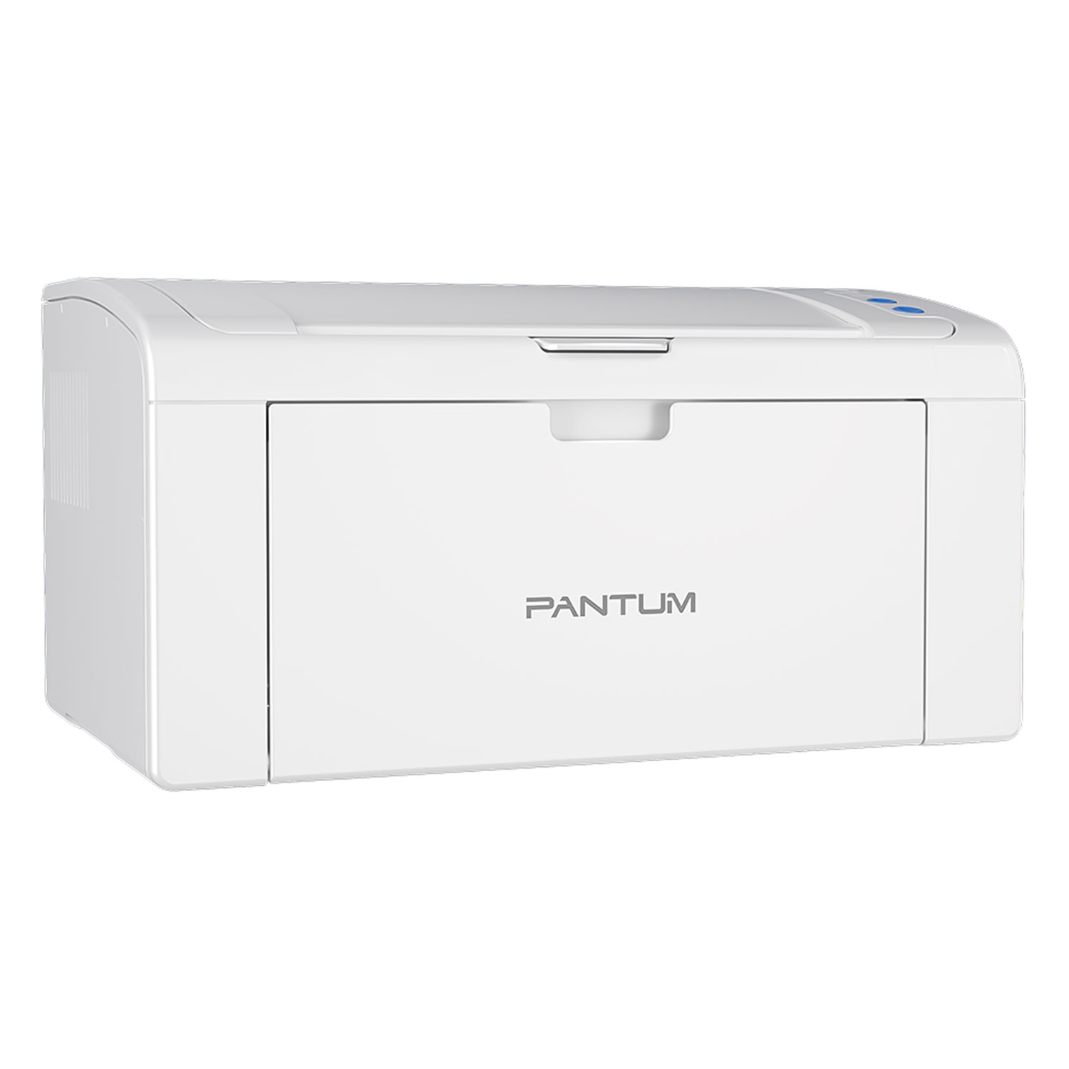 Impressora Monocromática Pantum P2509W 370W Wi-Fi 110V - Cinza