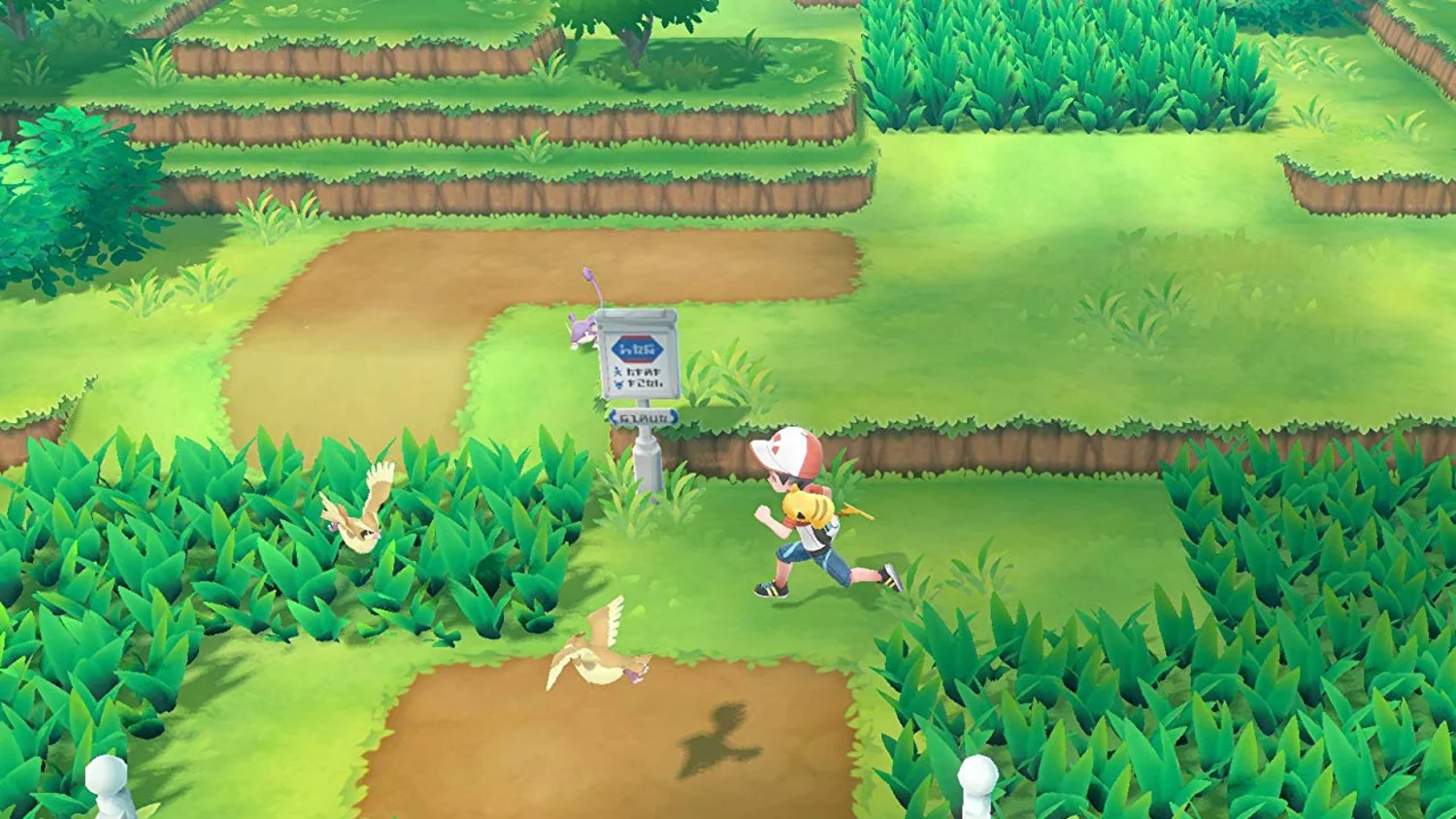 Jogo Pokemon Lets Go Eevee Nintendo Switch