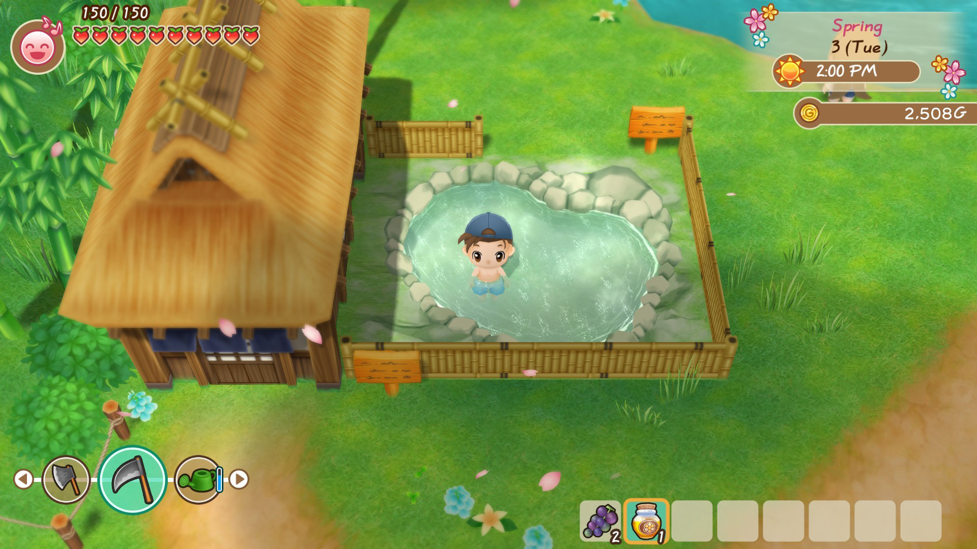 Jogo Story Of Seasons: Friends Of Mineral Town para Nintendo Switch
