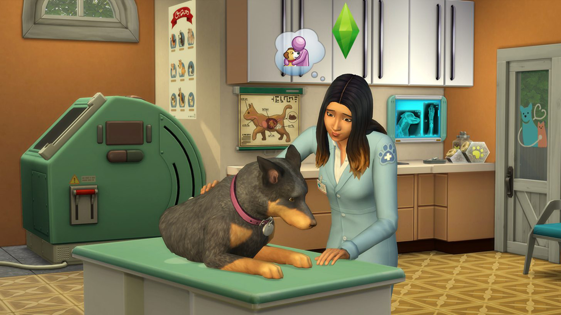 Jogo The Sims 4 + Gato e Cães para PS4 no Paraguai - Atacado Games