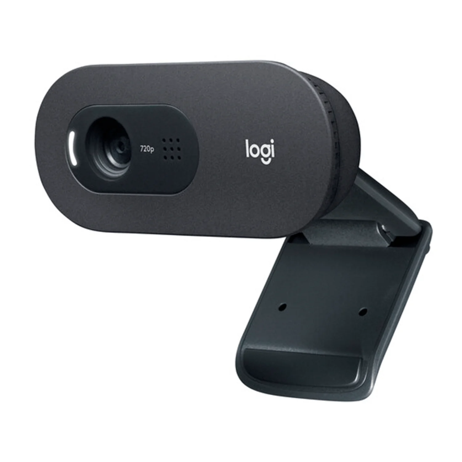Webcam Logitech C505E - (960-001372)