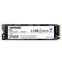SSD M.2 Patriot P300 256GB NVMe PCIe Gen3X4 - P300P256GM28