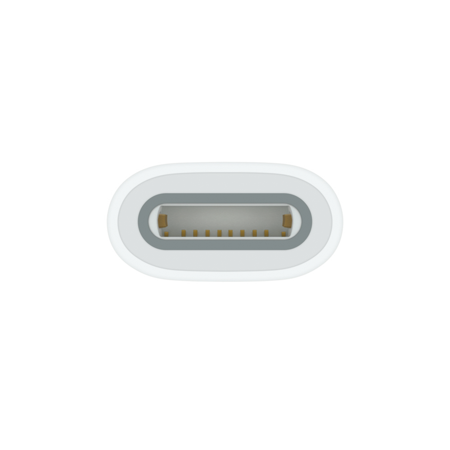 Adaptador Apple Pencil 1ª Geração A2869 - Branco (MQLU3AM/A)